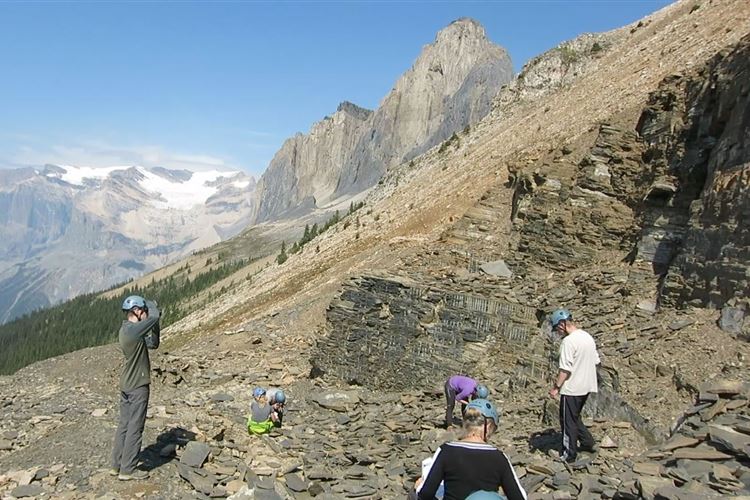 Canada Brit Col: Yoho, Burgess Highline Trail, Walcott Quarry, Walkopedia